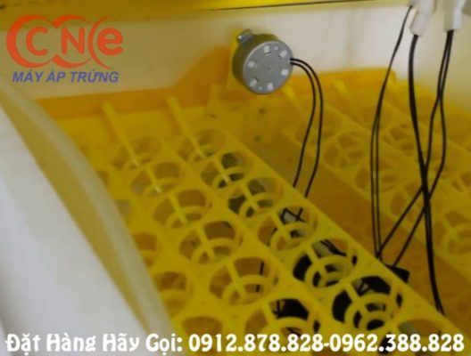 Khay đảo tự động