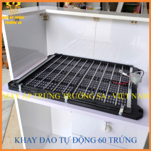 KHAY DAO TRUNG 2 Máy Ấp Trứng Trường Sa
