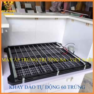 KHAY DAO TRUNG Máy Ấp Trứng Trường Sa