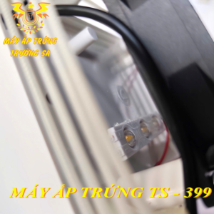 MAY AP TRUNG 1 Máy Ấp Trứng Trường Sa