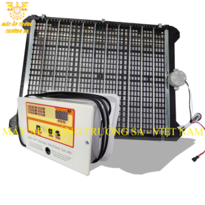 anh 3 Máy Ấp Trứng Trường Sa